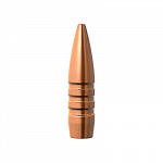 .224 dia. 62 gr TSX BT cal. 223