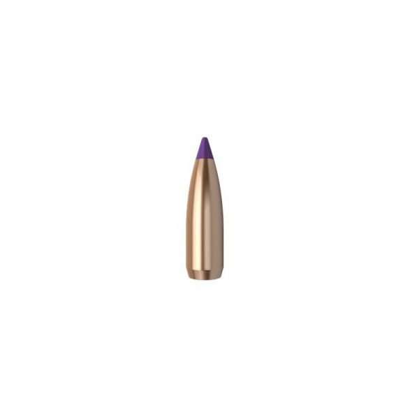 .243 dia. 70 Gr. Spitzer Varmint Ballistic Tip cal. 243 / 6 mm