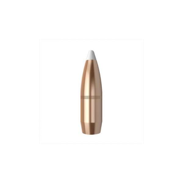 .366 dia. 250 Gr. Spitzer AccuBond cal. 366 / 9,3 mm