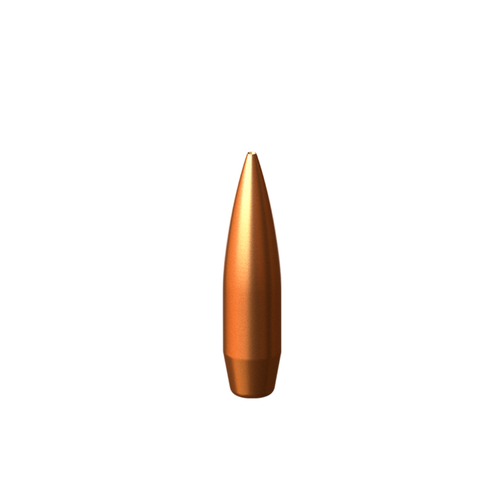 .308 dia. 175 gr. MaxRT cal. 308