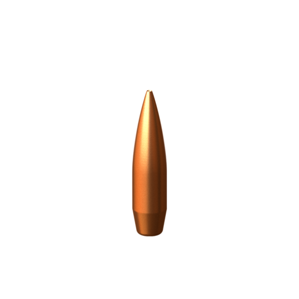 .308 dia. 175 gr. MaxRT cal. 308